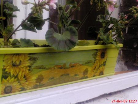 vla une jardiniere que j ai deco vous en pensais quoi !!