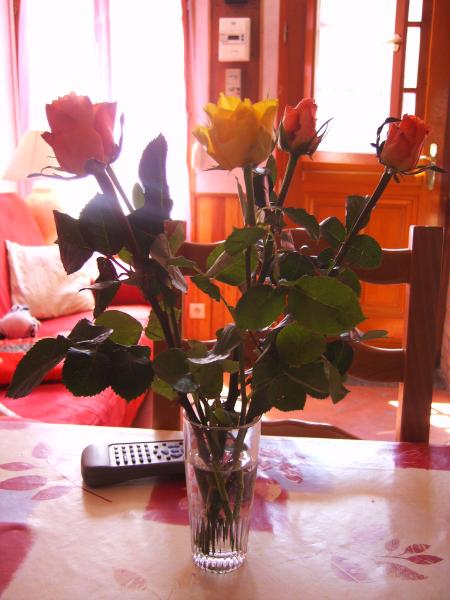 fleur offerte par mon boulot pour la f�te des m�res merci FAVI