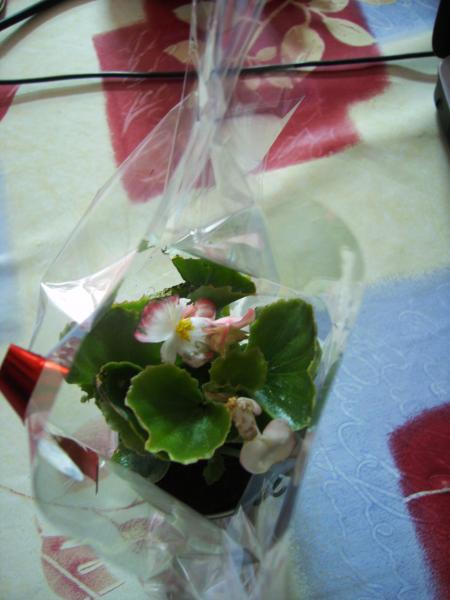 merci mon bb je t'aime