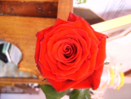 je t'aime mon petit coeur meme si j'ai du mal a te le montree parfois !!