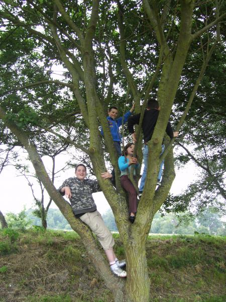 vla mes petit singes hihiiii!!