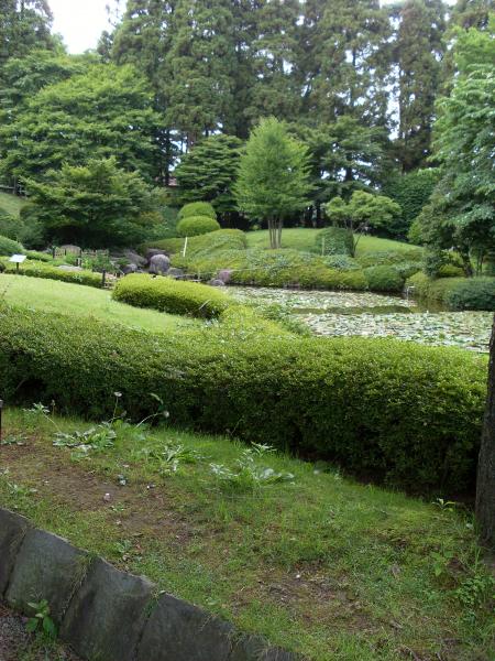 ca c mon reve trop trop beau