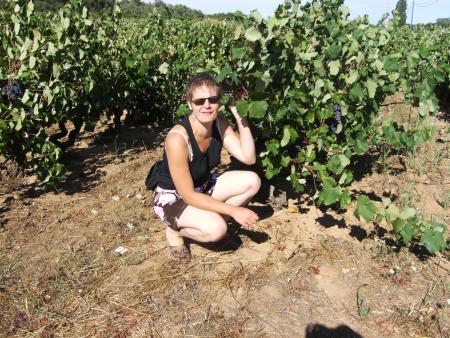 de la vigne a perte de vue