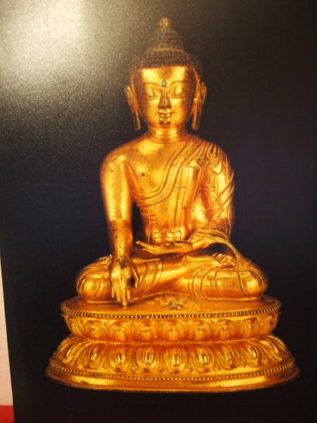 MA DERNIERE AQUISISSION